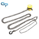 1 Ton 2200 Lbs Chain Hoist Chain Puller Block 15ft 4 5m Lift Hoist With Hooks