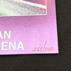 Deftones Detroit Mi North America Tour 2025 Foil Concert Poster  255 300