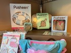 Pusheen Merch Lot From Pusheen Box Subscription Mixed Seasons Fall Winter Spring