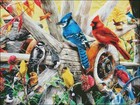 Backyard Birds - Chart Counted Cross Stitch Patterns Needlework Dmc Color Diy