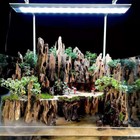 Fish Tank Natural Porous Wood Driftwood Ornament For Aquarium Decor Shrimp Wood