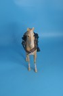 Vintage Johnny West Palomino Thunderbolt Horse Louis Marx 1965 Beige Figure Toy