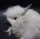 Vintage White Buffalo Bison Sculpture Fur Glass Eyes 7  Folk Art Rare Decor B61