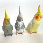 Choco Q Mini Figure Bird Cockatiel Set Of 3 Pcs  Kaiyodo Japan Choco Egg