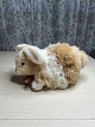 Dandee Collectors Choice Bunny Soft Plush Animal Light Beige 12   