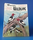 Florida Wildlife the Fl Magazine For All Sportsmen 6 Vintage Issues 1968-71