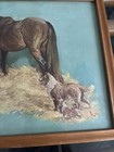 Vintage Horse And Collie Wood Framed Picture 8 X 10 Signed Eg 60 Very Sweet