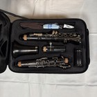 Backun Alpha Plus Bb Clarinet New Sealed Student Intermediate Model