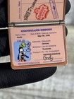 Disney Goofy Disneyland Resort Passport Pin Hinged 2009 First Released