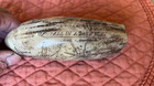 Whale Tooth Scrimshaw Resin Replica  bark Veronica  Semi Fossilized 1 Of A Kind