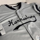 Negro League Baseball Jersey Harrisburg Giants 2xl Nlbm Oscar Charleston Rare