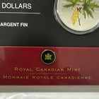 2005 Canada  5 Dollar 99 99 Silver 1 Oz  Maple Leaf Coloured Coin  W coa   Box
