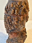 Burl Wood Bottle With Branch Handle From Parque Georgia Brazil - Rare Unusual 