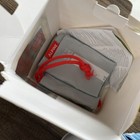 Alpine Muffy Baby Hearing Protection Baby Ear Defenders Festivals 4