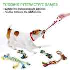 Legend Sandy Dog Squeaky Chew Toys For Small Dogs   Puppy Teething  12 Pack
