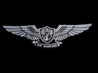 U s Military Navy Aviation Warfare Specialist Wings Badge Window Decal Sticker