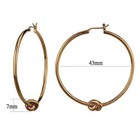 Women s Stainless Steel Ip Coffee Light 9 01 g  Hoops   Huggies Earrings