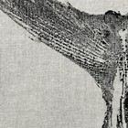 Bluefin Tuna Tail - Original Gyotaku Print