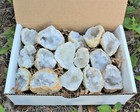 Break Your Own Geodes Gift Box  8 - 12 Pcs  Large Unopened Moroccan Crystals