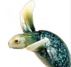 Natures Creations Sea Turtle Duo 11 Inch Figurine D62038 Retired Tortuga