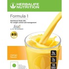 Weight Loss Mango Shake Formula 500 Gm