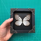 2 Butterfly Framed Handmade Real Taxidermy Dried Insect Wall Hanging Decor