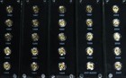 1982 - 2007 Gold China 25th 1oz Anniversary Of Pandas Gem Proof 25 Coin Set