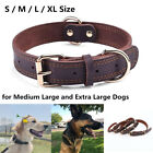 Genuine Leather Dog Collar Durable Alloy Hardware For Medium Extra Large Dogs