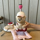 2026 For Starbucks Bearista Bear Cup Tumblers Strawberry Topper Baseball Cap New