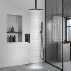 Ceiling Mount Rain Shower Head   Handheld Spray With Robust Valve   Trim Kit -