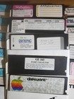 Random Lot Of 30 5 1 4  Used Vintage Floppy Disks Systems Applewriter See Pics