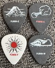 Pearl Jam Guitar Pick Mike Mccready 2025 Lightning Tour M I K Pic Picks Plectrum