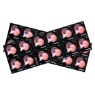 Usps Postage Stamps Booklet Of 20 First Class Letter  Star Spangled   Usa  