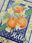 Stampin  Up  Card Kit - Citrus Blooms - All Inclusive Set Of 4 Cards