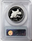 2003 W Proof Platinum  100 American Eagle 1 Oz Statue Of Liberty Pcgs Pr 70 Dcam