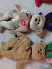 Rare Original Beanie Baby Lot Of 6  1997 98 99 With Tags  Case Included For All 