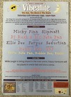 Vibealite 1995 The Sun  The Moon   The Stars  Mansfield A4 Rave Flyer poster