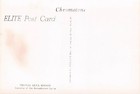 Postcard Vintage  4  Thomas Edison inventor Of The Light Bulb 4 same  Up   576  