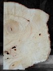 Xxl Curly Birdseye Maple Burl Wood Slab  Epoxy Wood  Curly Maple Burl Wood  Burl