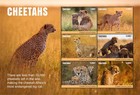 Tanzania 2017 - Cheetahs - Sheet Of 6 Stamps - Mnh