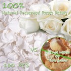 1 75oz Dried Real White Rose Petals Freeze Preserved Flower Petals For Wedding