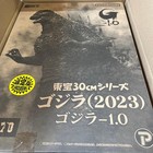 Godzilla-1 0 2023 Shonen Rick Limited Edition Toho 30 Series