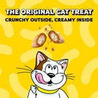 Temptations Cat Treats Classic Crunchy And Soft Cat Treats Tasty Chicken Flavor