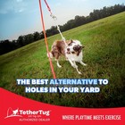 Tether Tug V2 Outdoor Dog Interactive Toy Tugging Pull Exercise 35-70 Lbs And Up