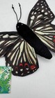 New Finger Butterfly Puppet Anicia Checkerspot Toy Sunny   Co Storytelling
