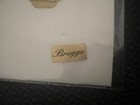 Vintage Brussels Lace Belgium Linen Handkerchief Never Used