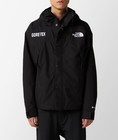 The North Face Gore-tex Mountain Jacket- Authentic