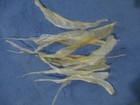 10 Real Deer Back Sinew  Native Thread Bow Backing Sewing For Beading Y1