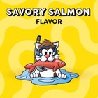 Temptations Savory Salmon Flavor Chewy And Crunchy Cat Treats - 48oz