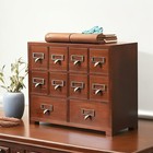 Traditional Solid Wood Small Chinese Medicine Cabinet Vintage Great Storage A   